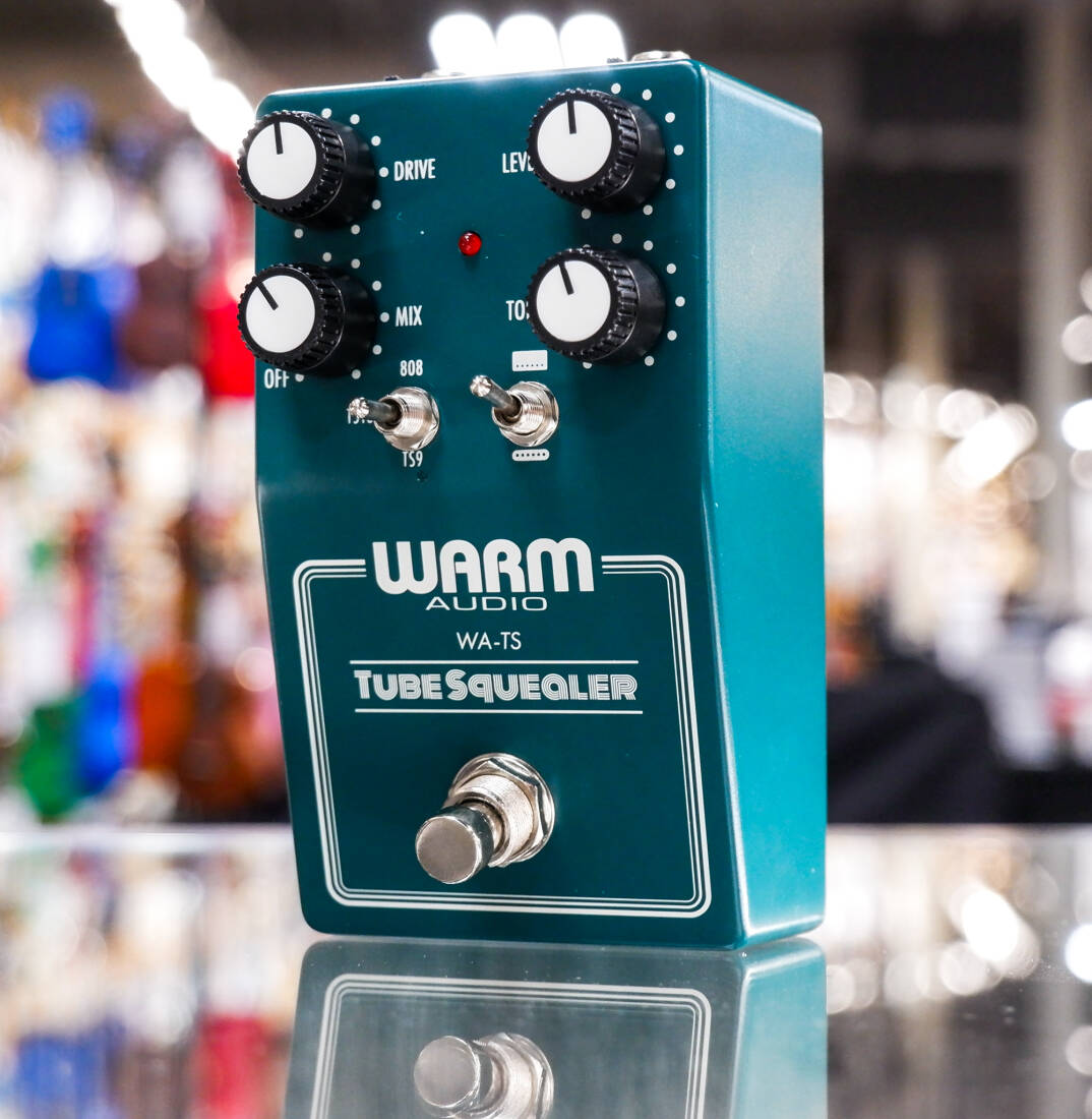 Gear Hunter | Warm Audio - Tube Squealer Overdrive Pedal